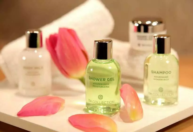 景色の見えるスーペリアルーム, NH Andorra La Vella
