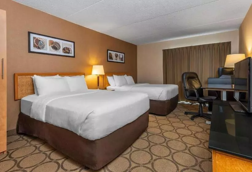 ２ダブルベッドのスタンダードルーム, Comfort Inn