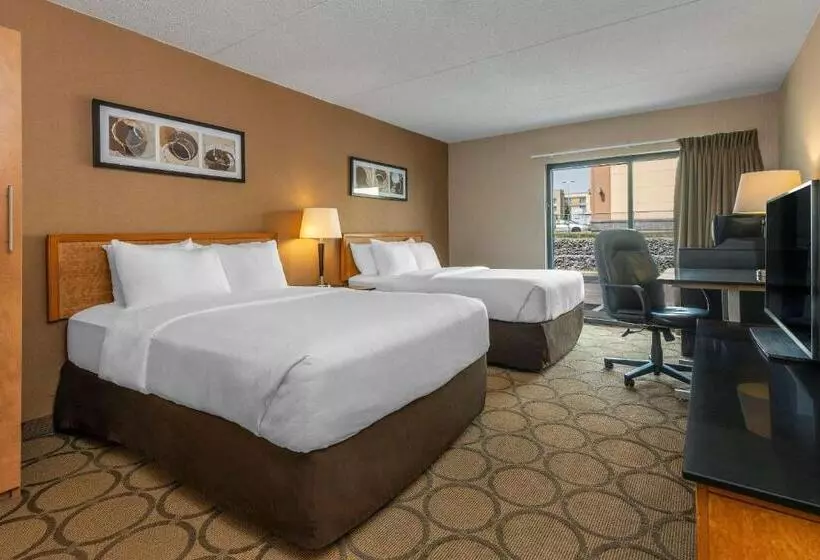 ２ダブルベッドのスタンダードルーム, Comfort Inn