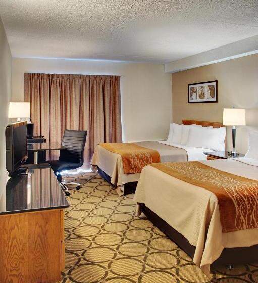 一楼标准间, Comfort Inn