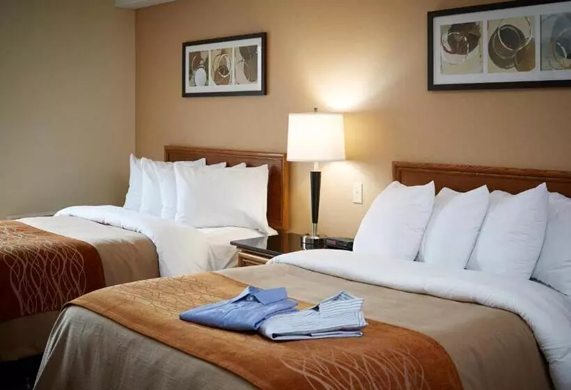 デラックスルーム, Comfort Inn