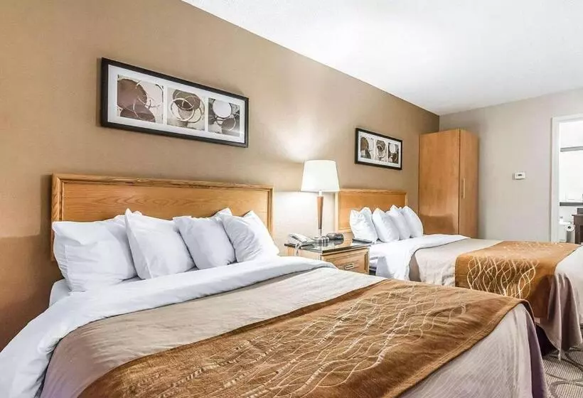 デラックスルーム, Comfort Inn