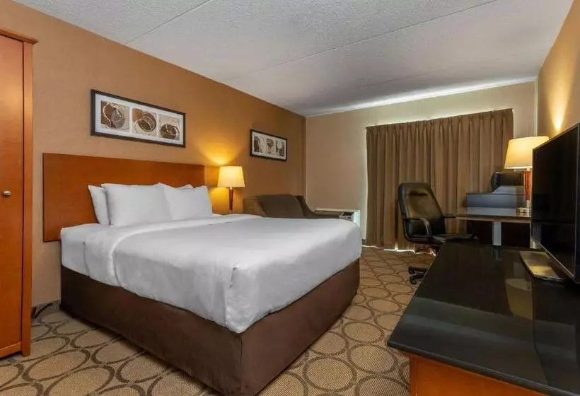 １階のスタンダードルーム, Comfort Inn