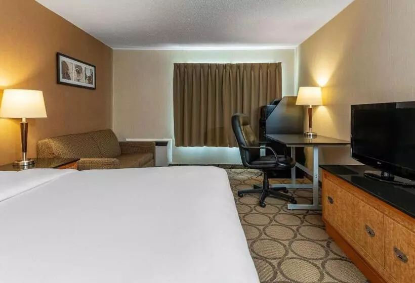 デラックスルーム, Comfort Inn