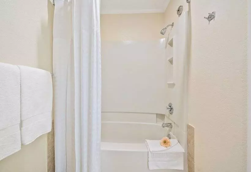 اتاق استاندارد با 2 تخت دوبل, Comfort Suites Paradise Island