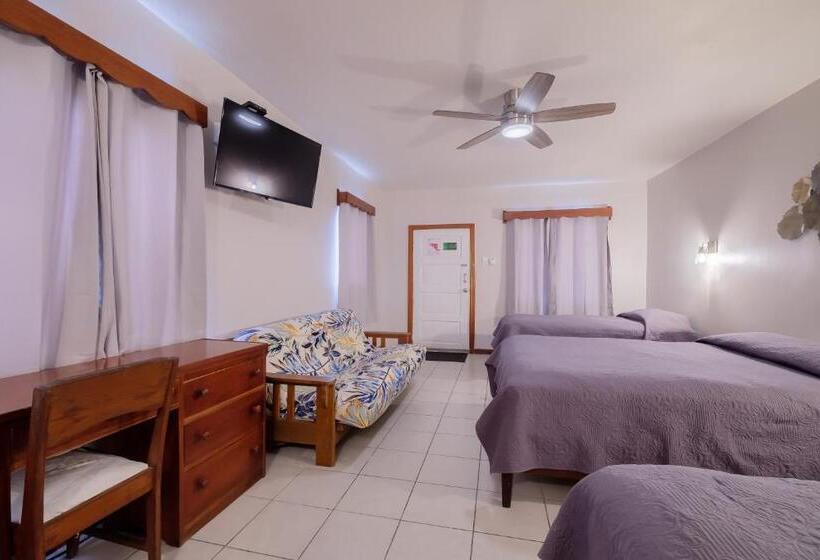 جناح جونيور ديلوكس, Holiday