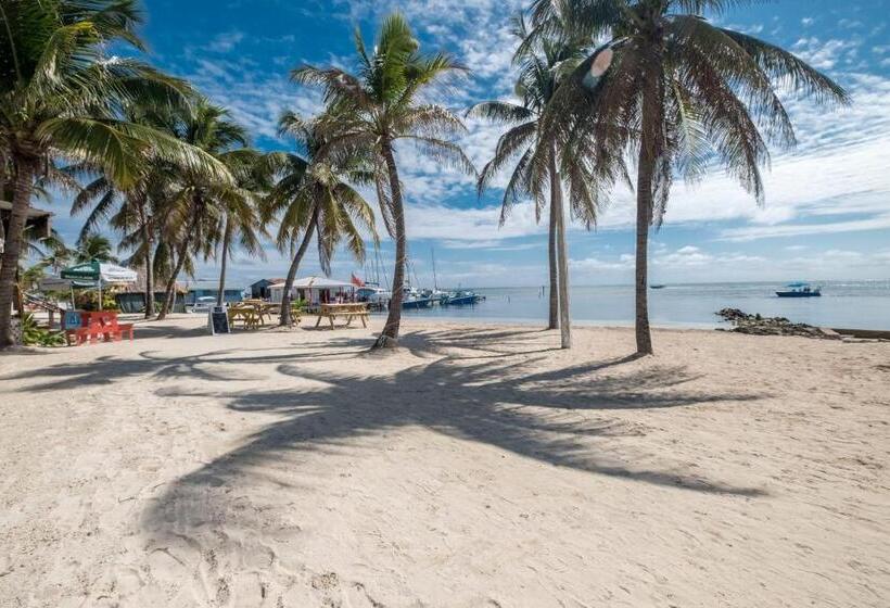 جناح جونيور ديلوكس, Holiday