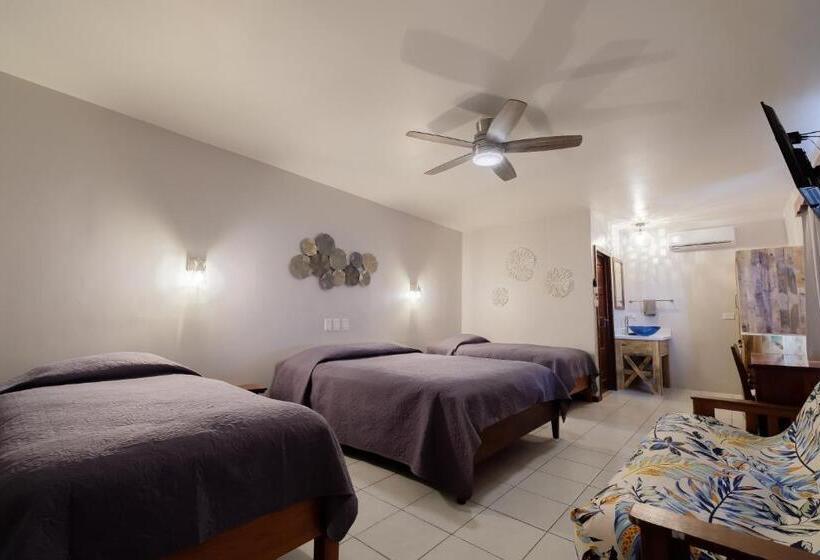 جناح جونيور ديلوكس, Holiday