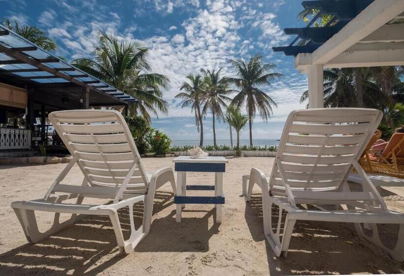 جناح جونيور ديلوكس, Holiday