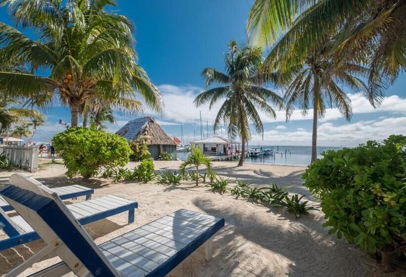 غرفة ديلوكس مطلّة علي البحر, Holiday