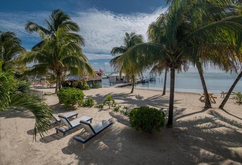 غرفة ديلوكس مطلّة علي البحر, Holiday