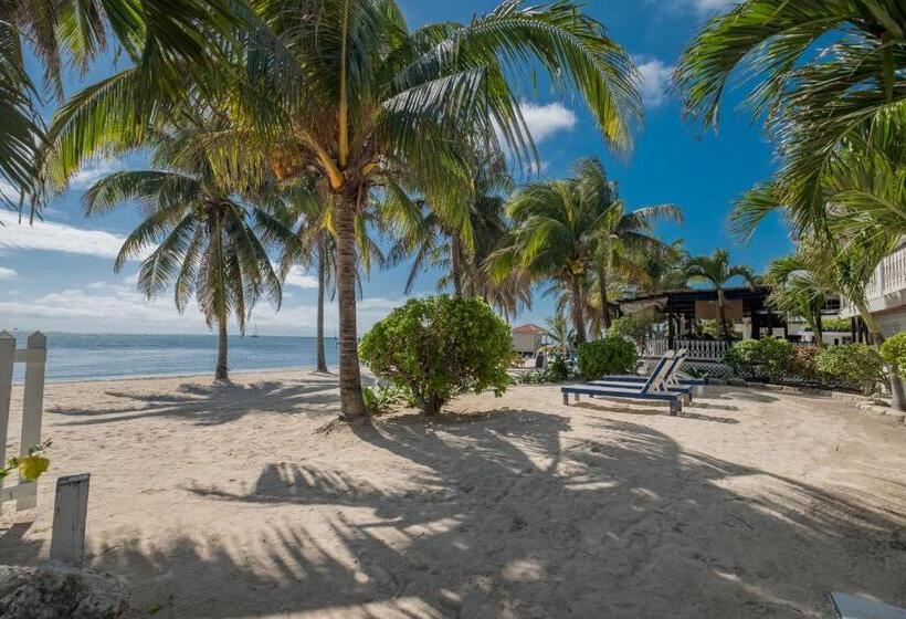 غرفة ديلوكس مطلّة علي البحر, Holiday