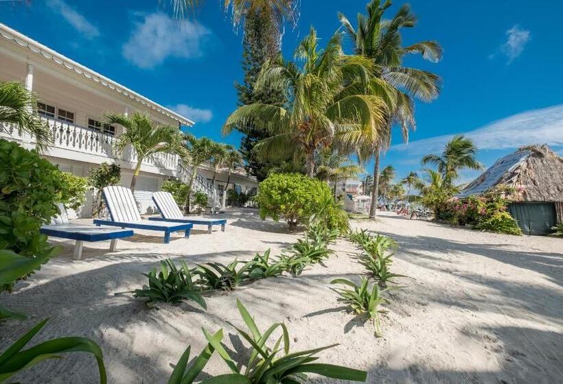 غرفة ديلوكس مطلّة علي البحر, Holiday