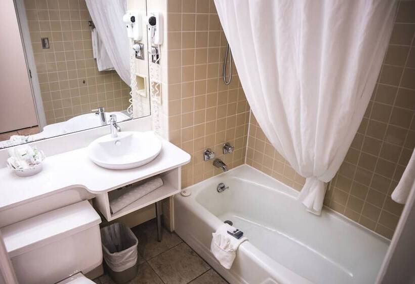 חדר אקזקיוטיב, Hôtel Le Manoir