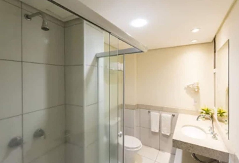 غرفة سوبيريور, Vila Rica Campinas