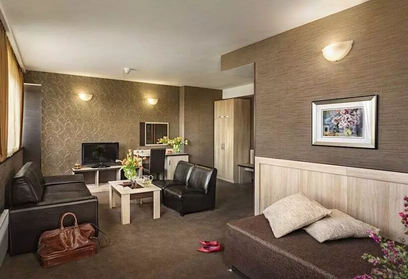 Suite met Kingsize Bed, Park Hotel Moskva