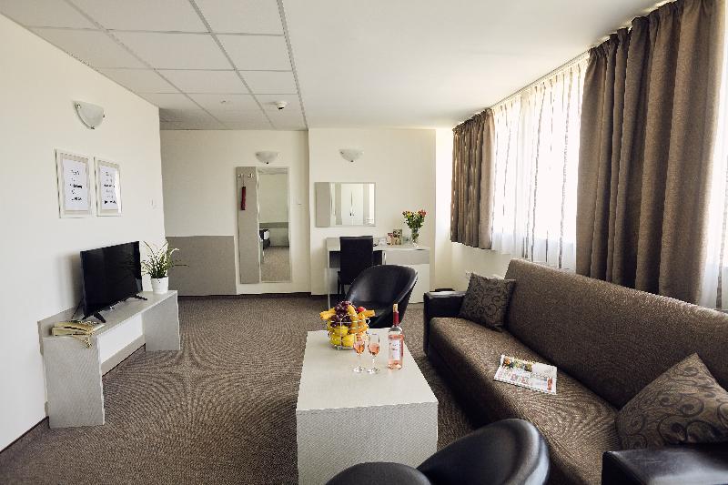 小型套房, Park Hotel Moskva