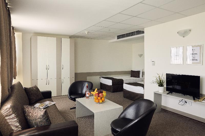 小型套房, Park Hotel Moskva