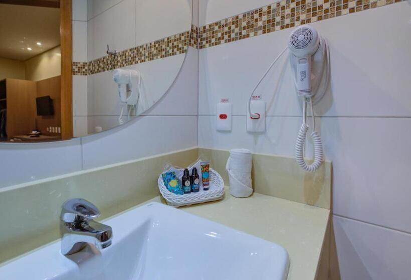 اتاق لوکس, Rio Aeroporto Hotel Galeão
