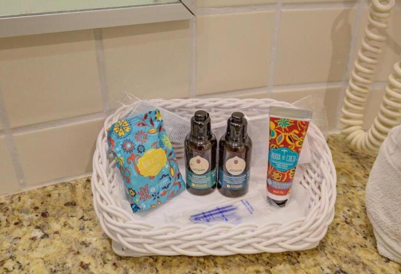 חדר סטנדרט לשלושה, Rio Aeroporto Hotel Galeão