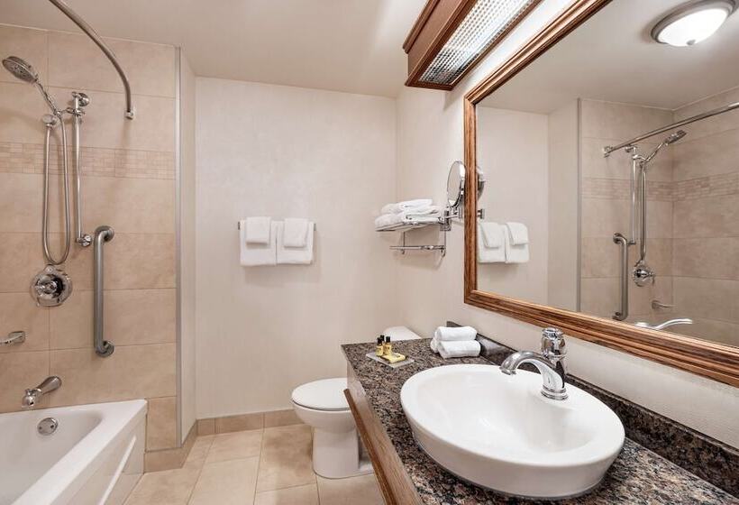 اتاق کلاس بیزنس, Best Western Plus City Centre Centre Ville