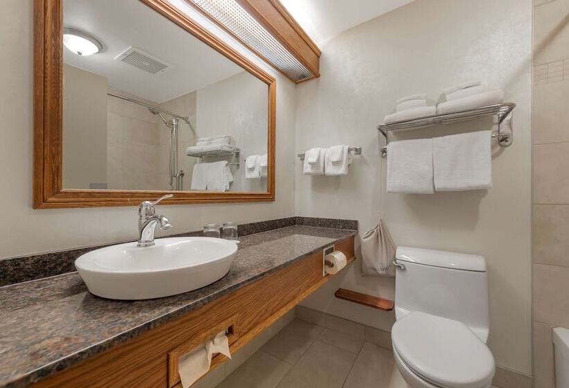 اتاق کلاس بیزنس, Best Western Plus City Centre Centre Ville