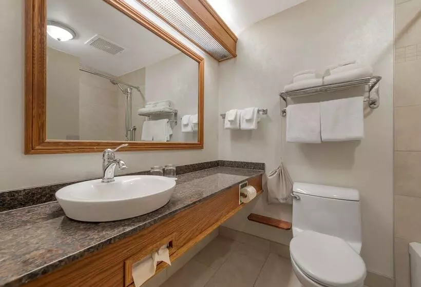 اتاق کلاس بیزنس, Best Western Plus City Centre Centre Ville