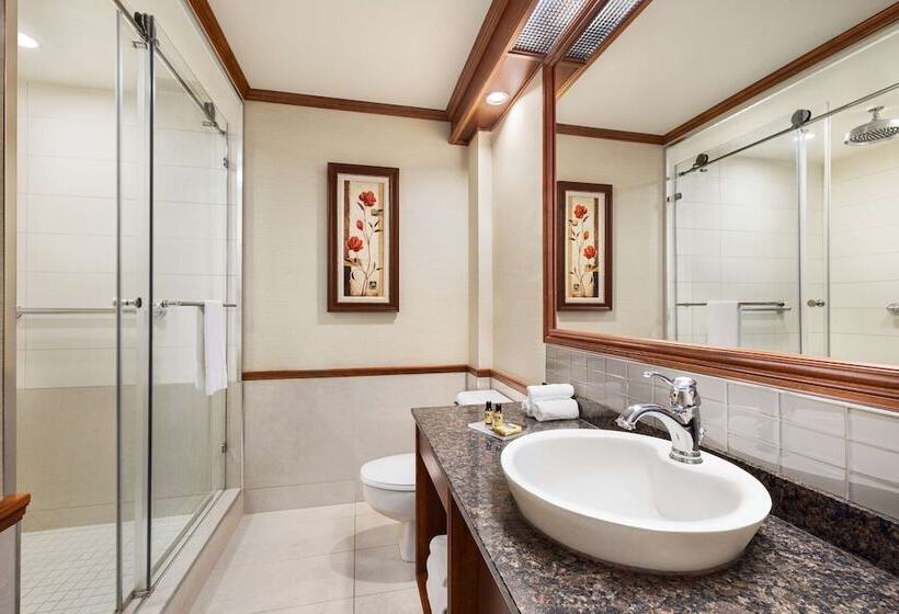 اتاق کلاس بیزنس, Best Western Plus City Centre Centre Ville