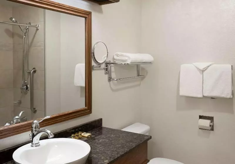 اتاق استاندارد با تخت بزرگ, Best Western Plus City Centre Centre Ville