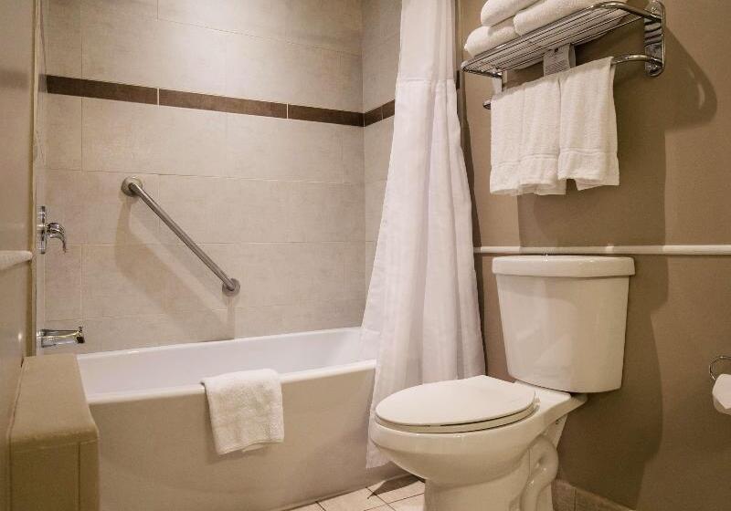 חדר סטנדרט, Best Western Ville Marie Hotel & Suites