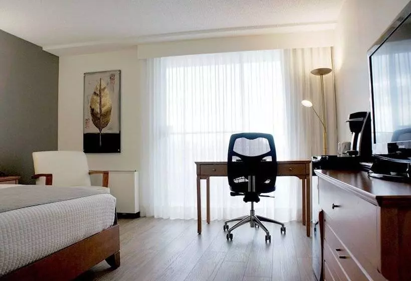 Chambre Affaires, Castel