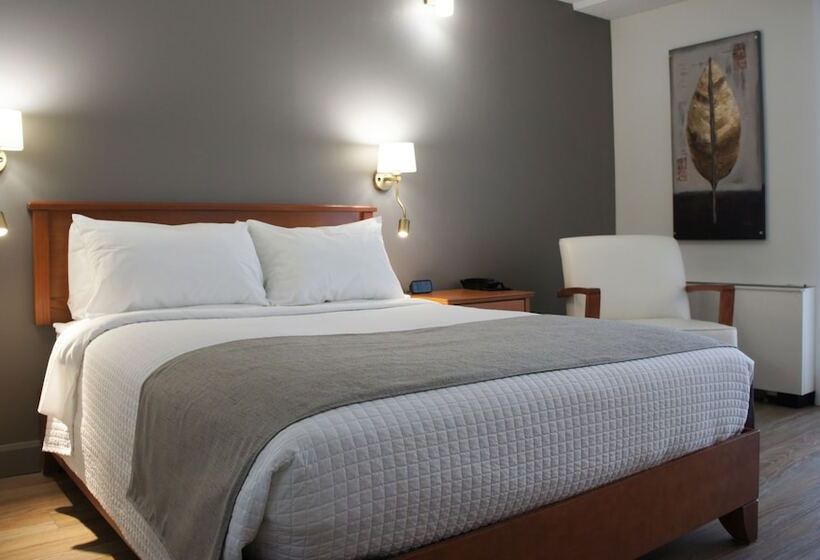 商务房间, Castel