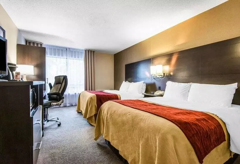 コンフォートルーム, Comfort Inn