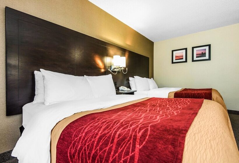 חדר קומפורט, Comfort Inn