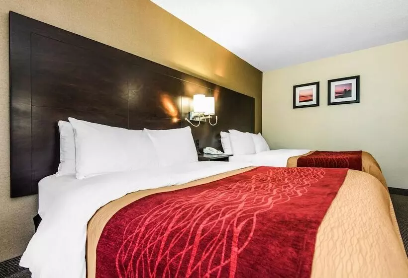 コンフォートルーム, Comfort Inn