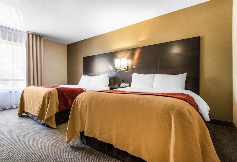 舒适型房间, Comfort Inn