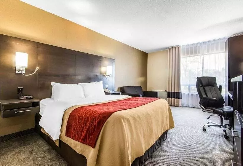 コンフォートルーム, Comfort Inn