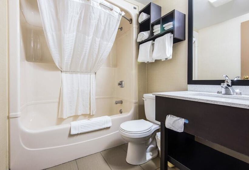 带2个双人床的标准工作室, Comfort Inn