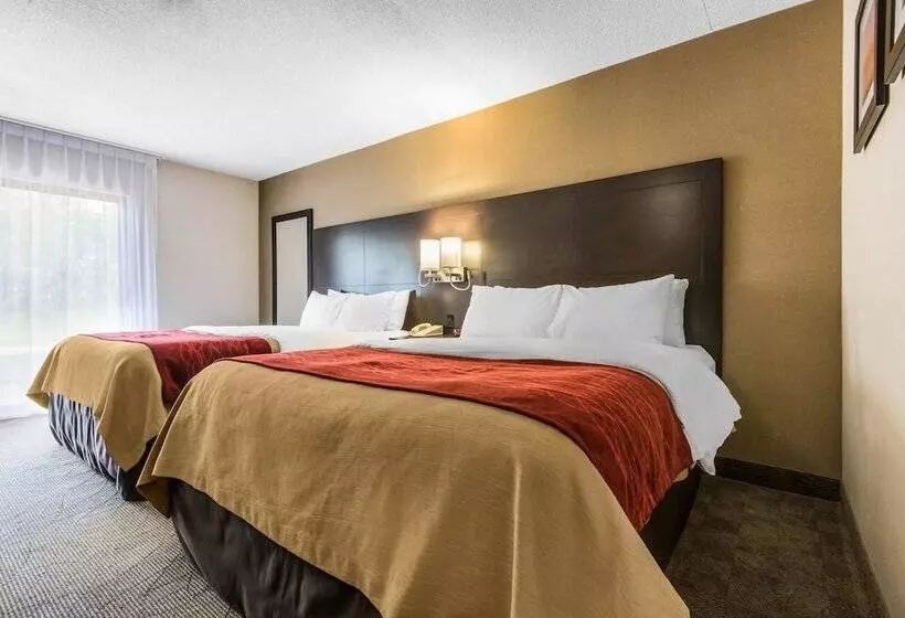 ２ダブルベッドのスタンダードルーム, Comfort Inn