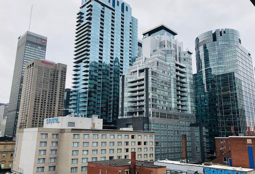 スタンダードルーム, Comfort Suites Downtown