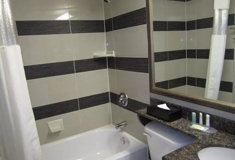 اتاق استاندارد, Comfort Suites Downtown