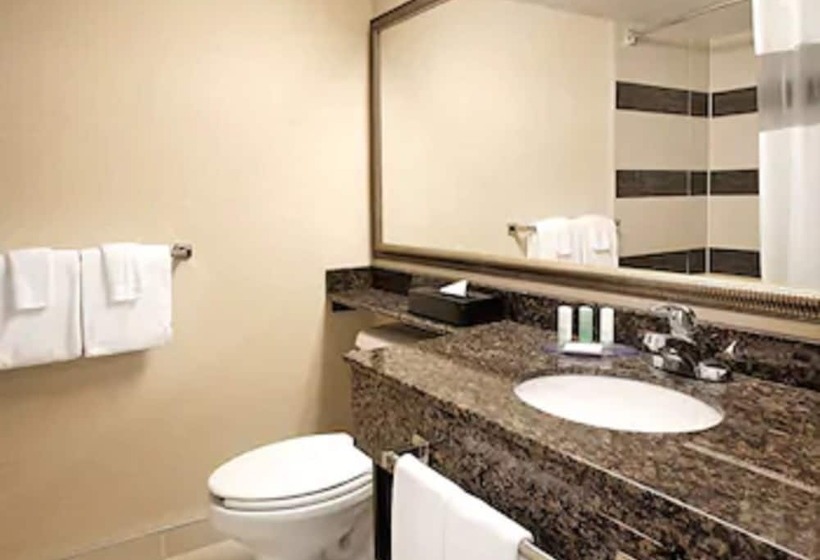 スタンダードルーム, Comfort Suites Downtown