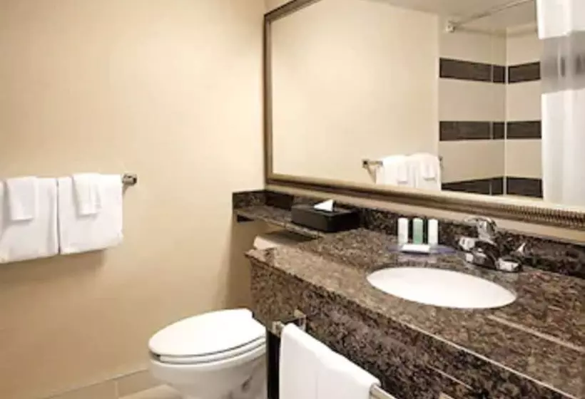 اتاق استاندارد, Comfort Suites Downtown