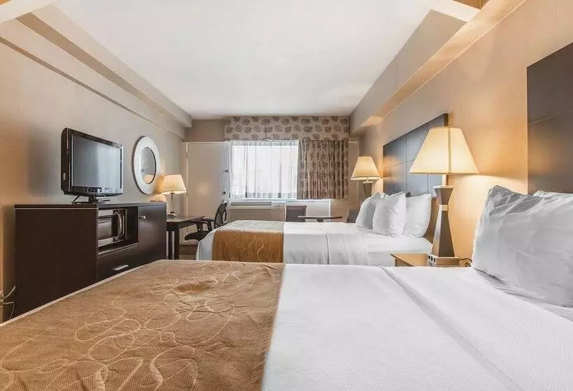 اتاق استاندارد, Comfort Suites Downtown
