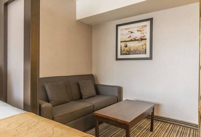 スタンダードルーム, Comfort Suites Downtown