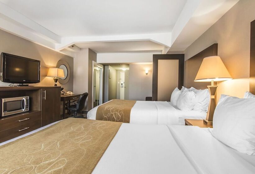 スタンダードルーム, Comfort Suites Downtown