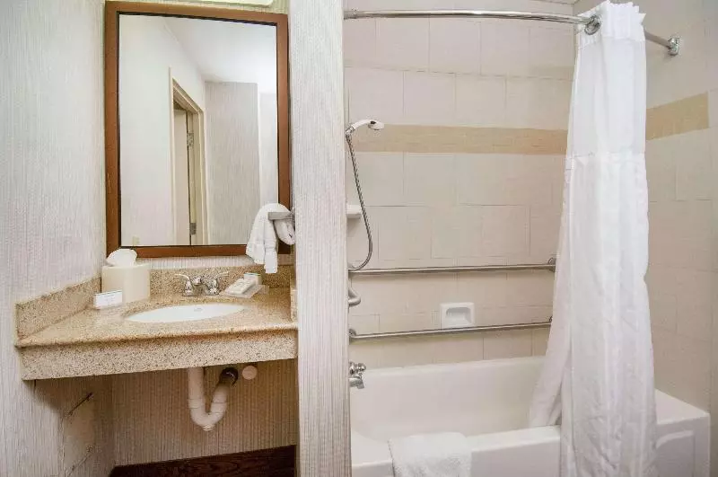 اتاق استاندارد با تخت بزرگ, Delta Hotels By Marriott London Armouries