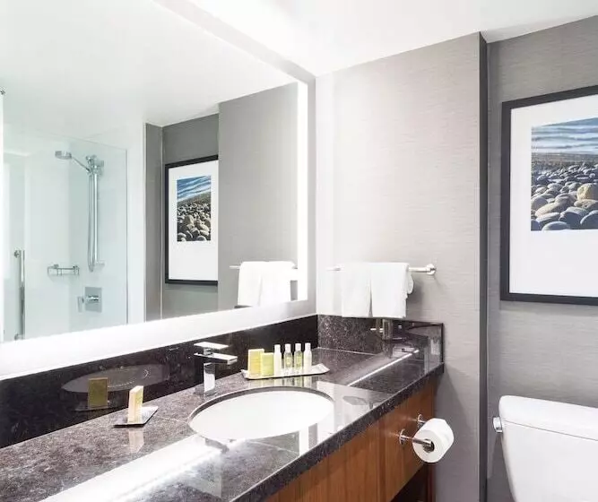 اتاق استاندارد با تخت بزرگ, Doubletree By Hilton Hotel & Suites Victoria