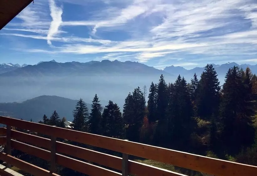 スイート（家族用）, Eden Resort Anzere
