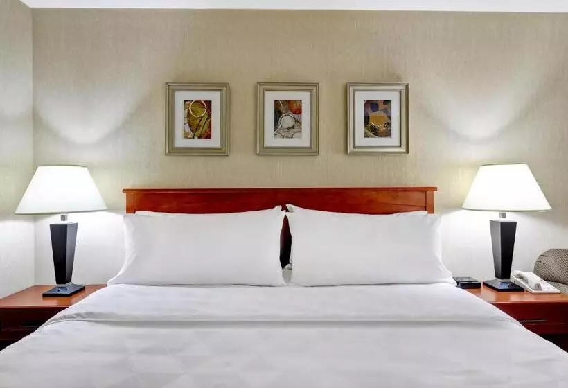 キングサイズベッドのスタンダードルーム, Holiday Inn Laval Montreal, An Ihg